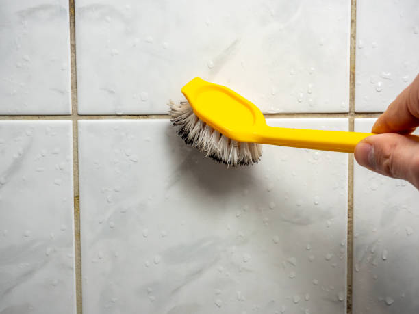 Best Commercial Mold Remediation in Reserve, LA