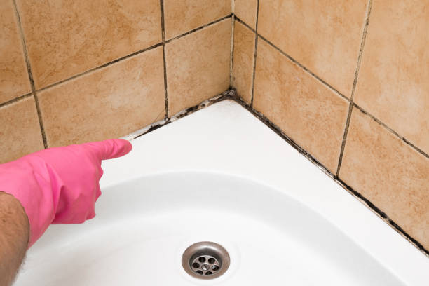 Best Mold Testing and Inspection Services in Reserve, LA